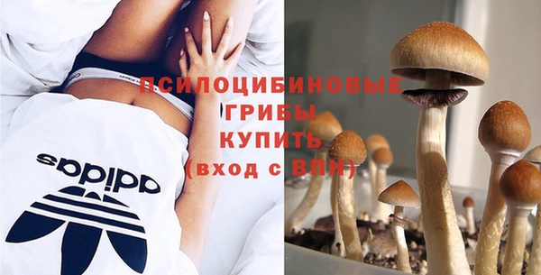 тгк Надым