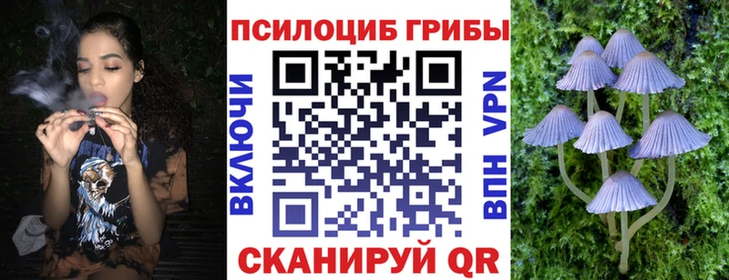 магазин продажи   MEGA зеркало  Псилоцибиновые грибы мицелий  Заринск 