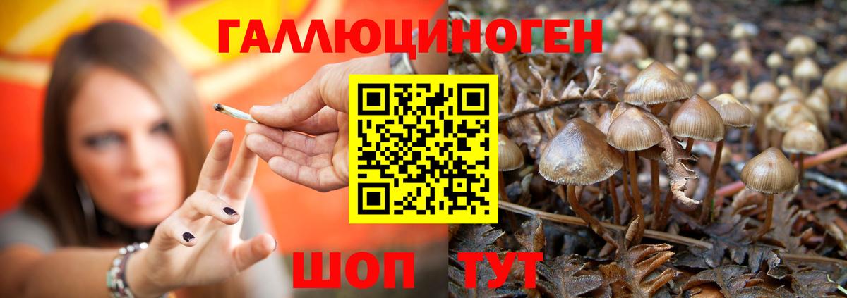 Псилоцибиновые грибы Psilocybe  магазин продажи   Заринск  Вход с VPN 